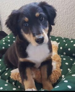 Historias que dejan huella: Margarita & Vanessa