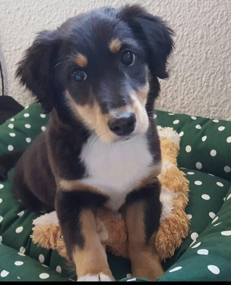 Historias que dejan huella: Margarita & Vanessa