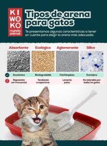 Mejor arena para gatos: ¿Cuál es la ideal para mi felino?