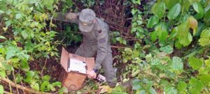 Abandonaron un utilitario cargado con cigarrillos en la ruta Nacional Nº 9