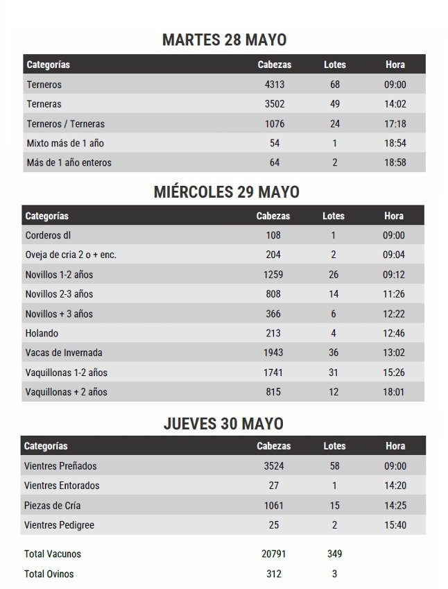 Plaza Rural rematará, a partir de hoy, más de 20.700 vacunos.