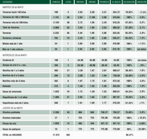Plaza Rural cerró el remate 287 con más de 17.000 animales vendidos.