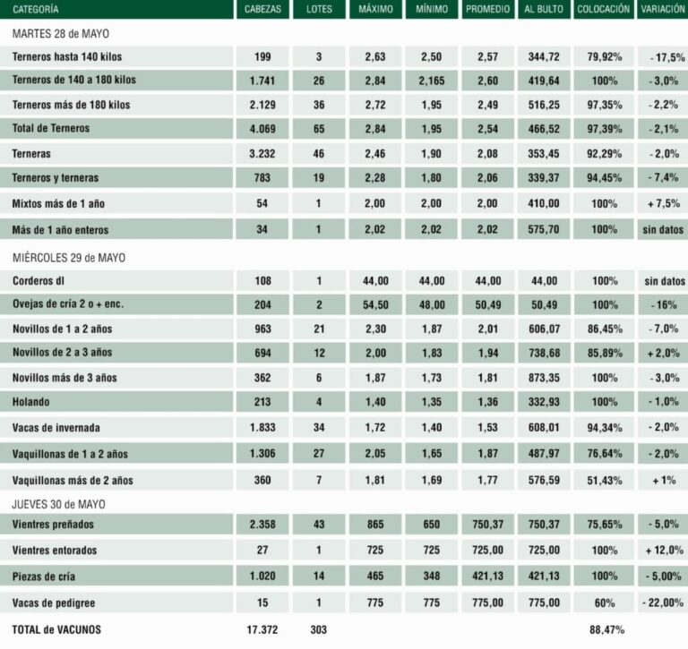 Plaza Rural cerró el remate 287 con más de 17.000 animales vendidos.