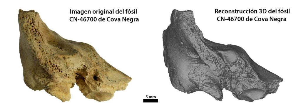 Los neandertales cuidaban y protegían a sus niños con síndrome de Down