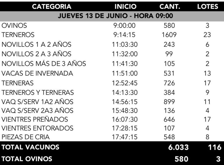 Hoy a las 09.00 comienza el remate de Pantalla Uruguay.