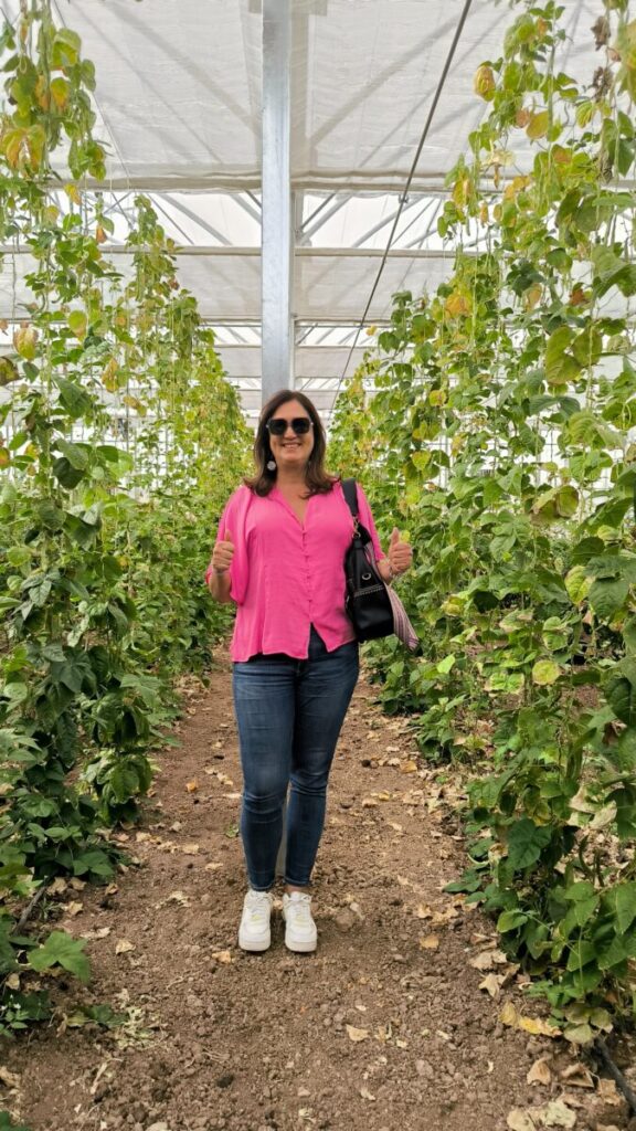 Finca Hualdo, un paraíso sostenible en la provincia de Toledo