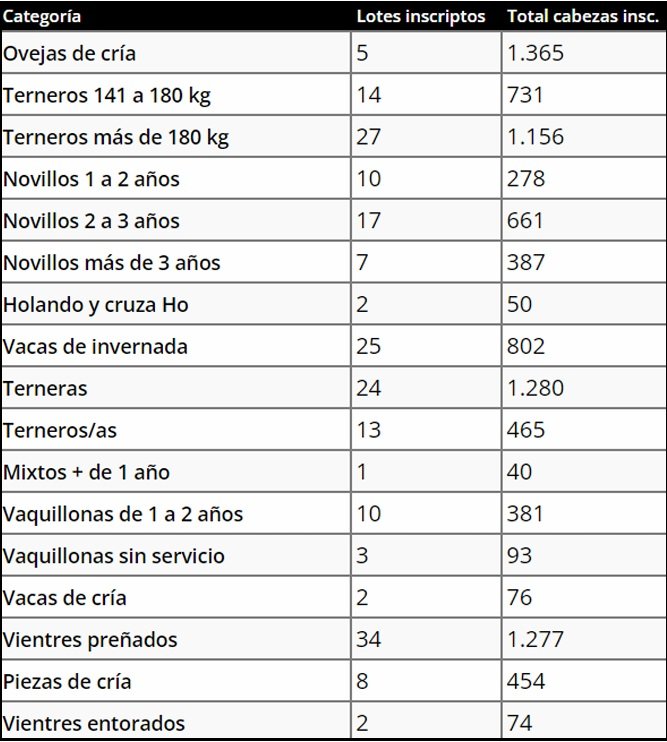 Lote 21 remata hoy desde las 08.00, con transmisión de Todo El Campo.