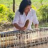 TALLERES DE LA RUTA DE LA ARTESANÍA ABREN SUS PUERTAS AL PÚBLICO EN CARAPEGUÁ