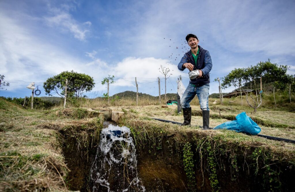 Más de 1.000 microempresarios del Cauca han sido acompañados por Empropaz para la creación y el fortalecimiento de negocios en la región