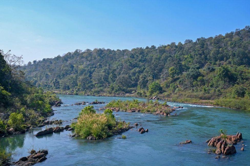 El hombre que desafió a las mineras y salvó un enorme bosque nativo en India