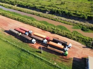 Desvían las aguas del río Paraguay y empeora el escenario de bajante 