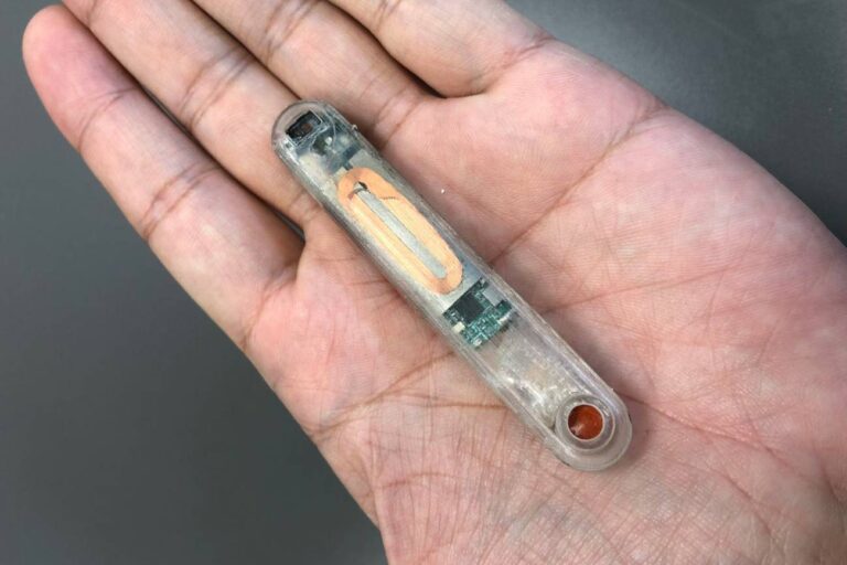 Un dispositivo implantable revierte la sobredosis de opioides en segundos