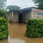 Lluvias en Guanarito dejaron casas anegadas y pérdidas en sembradíos