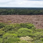 Estudio muestra que Brasil ha perdido un 33 % de áreas naturales hasta 2023