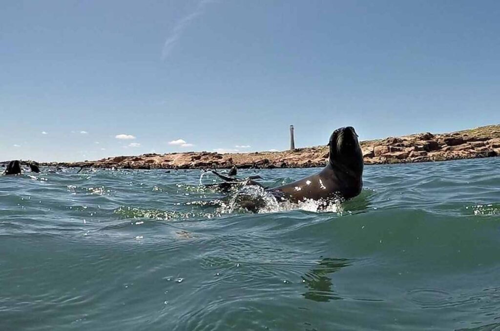 Antía enojado por protección ambiental a Isla de Lobos: Quería explotarla turísticamente