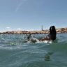 Antía enojado por protección ambiental a Isla de Lobos: Quería explotarla turísticamente