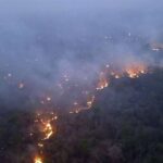 Incendios forestales persisten en tres municipios de Santa Cruz y Beni, según Defensa Civil