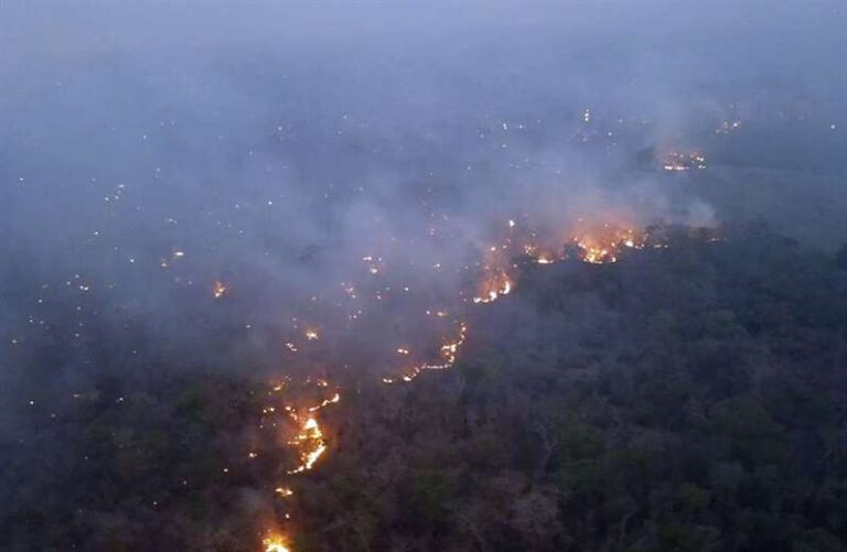 Incendios forestales persisten en tres municipios de Santa Cruz y Beni, según Defensa Civil