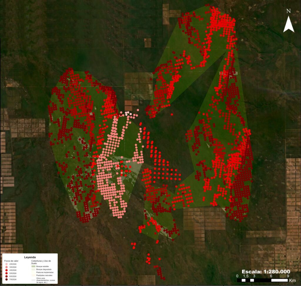 Incendios forestales: Más de 77.000 hectáreas afectadas, mientras el gobierno anuncia sanciones “implacables”