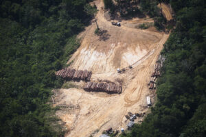 Las fronteras criminales de la Amazonia