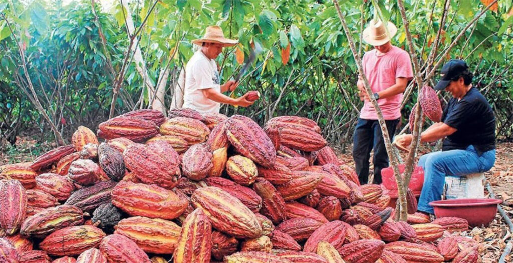 Científicos suizos transforman la producción de chocolate utilizando la fruta de cacao entera