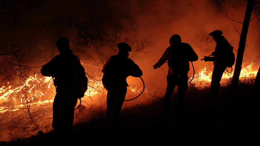 Entre llamas y negocios: la tragedia de los incendios forestales en Córdoba