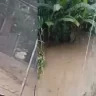 Tras fuertes lluvias, se desbordó el río Macarao en Caracas este 1 de septiembre (VIDEO)