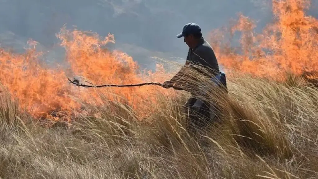 Perú decreta estado de emergencia en regiones selváticas por incendios forestales