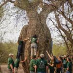 DESCUBRIENDO LOS TESOROS NATURALES DEL CHACO: COLOSOS DE LA TIERRA 2024