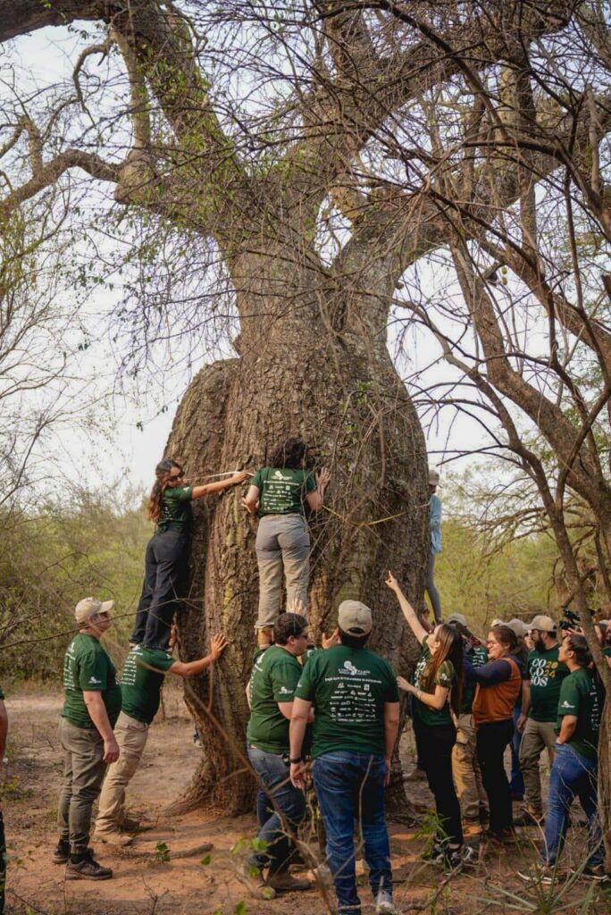 DESCUBRIENDO LOS TESOROS NATURALES DEL CHACO: COLOSOS DE LA TIERRA 2024