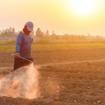 Cómo afectan los agrotóxicos a la industria alimentaria en Uruguay