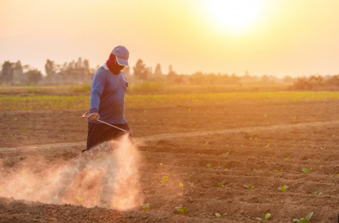 Cómo afectan los agrotóxicos a la industria alimentaria en Uruguay