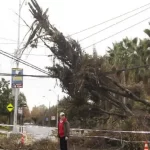 Empresa italiana Enel es llevada ante la Justicia mientras continúa apagón en São Paulo, Brasil