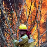 Incendios forestales devastaron 9,8 millones de hectáreas en Bolivia