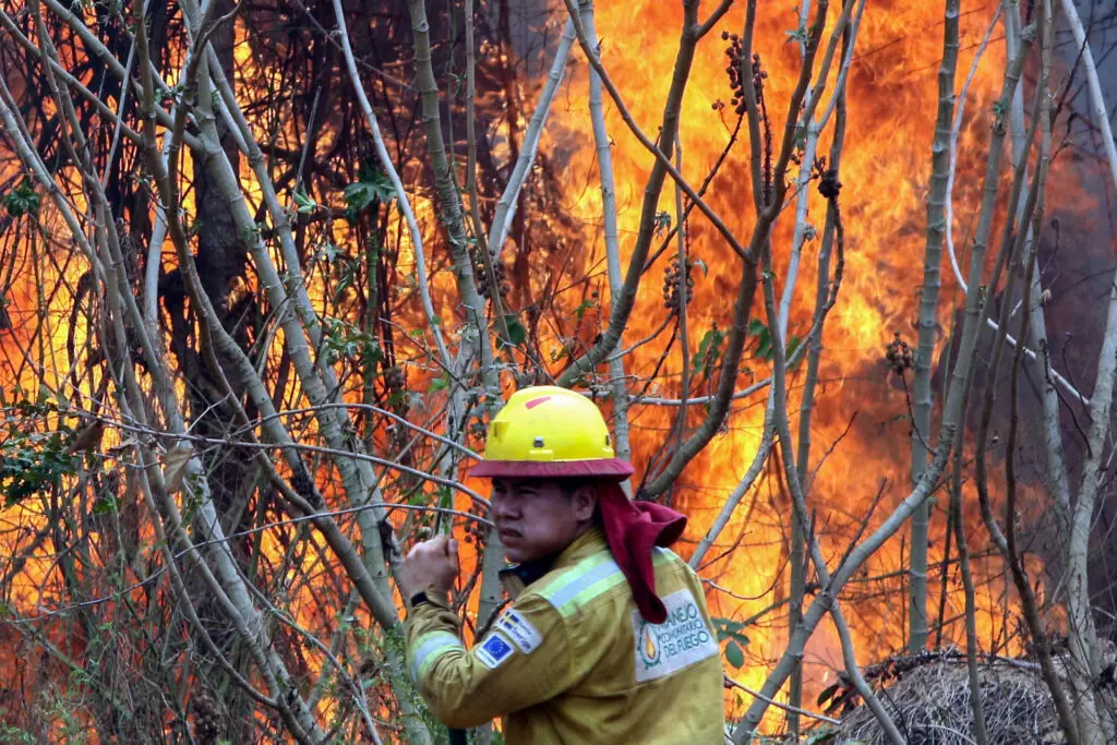 Incendios forestales devastaron 9,8 millones de hectáreas en Bolivia