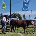 Con total éxito y buen nivel de público se llevó a cabo la 85ª Expo San Carlos