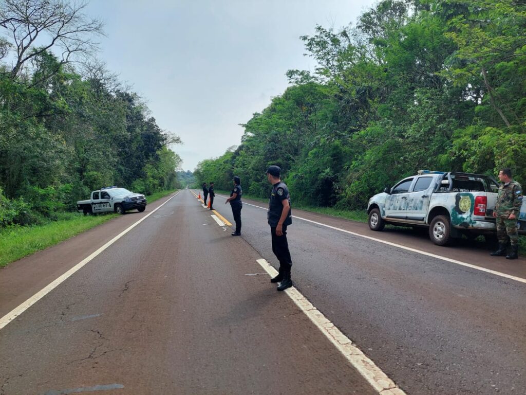 Dejaron el cuerpo del yaguareté en cercanías al lugar del accidente para que su madre lo encuentre