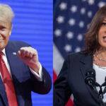 Kamala Harris o Donald Trump, ¿qué indican las principales encuestas en EE.UU.?