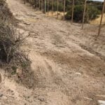 Matanza de pingüinos de Magallanes: el juicio por la devastación ambiental de Punta Tombo llega a su etapa final