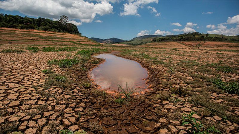 Los precios globales de alimentos enfrentan un inminente aumento por la sequía más grave en Brasil