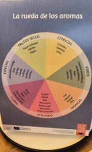 Cata de Manzanas Südtiroler Apfel IGP