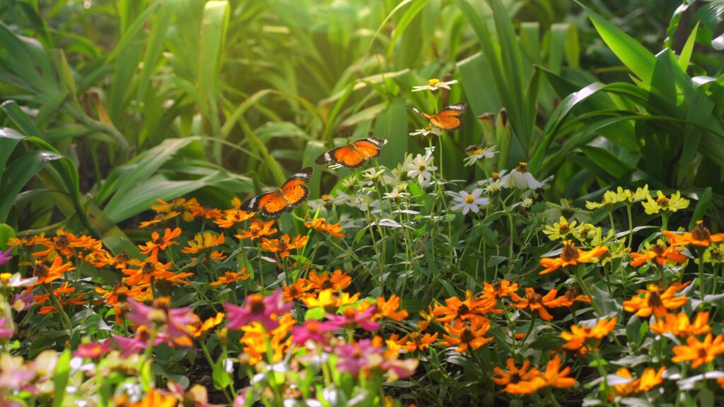 ¿Cómo se puede medir la salud de un ecosistema y su biodiversidad?