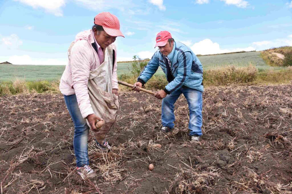 Con microseguros climáticos, los microempresarios pueden proteger sus cultivos y negocios en esta temporada de lluvias