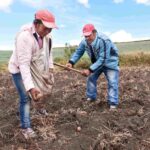 Con microseguros climáticos, los microempresarios pueden proteger sus cultivos y negocios en esta temporada de lluvias