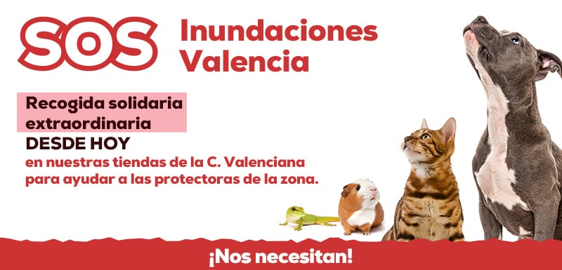 SOS Comunidad Valenciana. Recogida solidaria para los animales afectados por la DANA