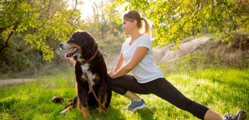 ¿Cuánto ejercicio debe hacer mi perro? Todos los tips