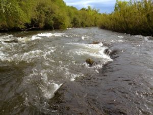 Paysandú : Ministerio de Ambiente publica el proyecto para crear área protegida Islas del Queguay