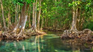 Internet of Water: México celebra innovación tecnológica para la gestión del agua