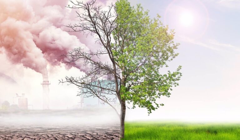 Punto de inflexión climático: ¿Metáfora útil u obstáculo para la acción?