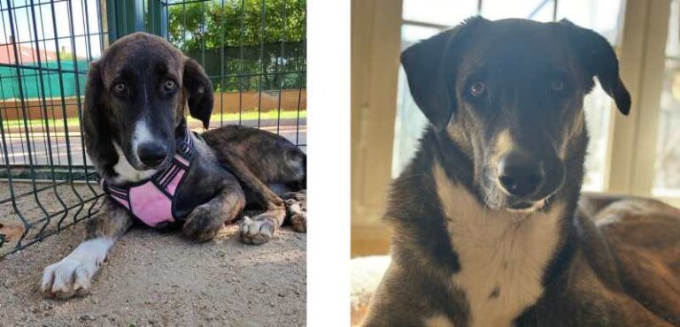 Historias que dejan huella: Nux & Myriam